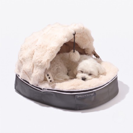 ＜アンビエントラウンジ＞ペットラウンジ　低反発クッション　犬猫ベッド　Sサイズ／グレー／フーディー／ロータイプ／エリート