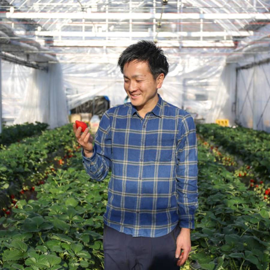 栃木のいちご　4品種食べ比べセット