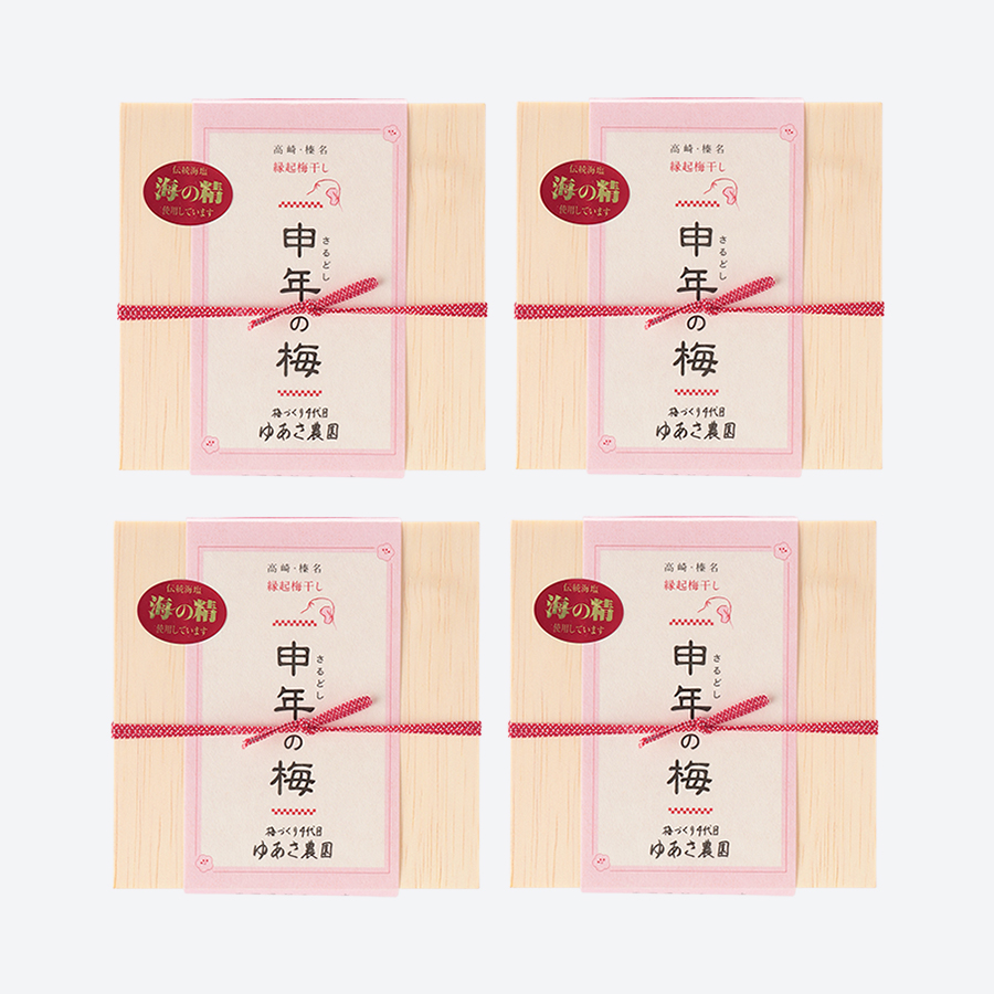 ＜ゆあさ農園＞縁起の良い申年の梅　100g×4セット