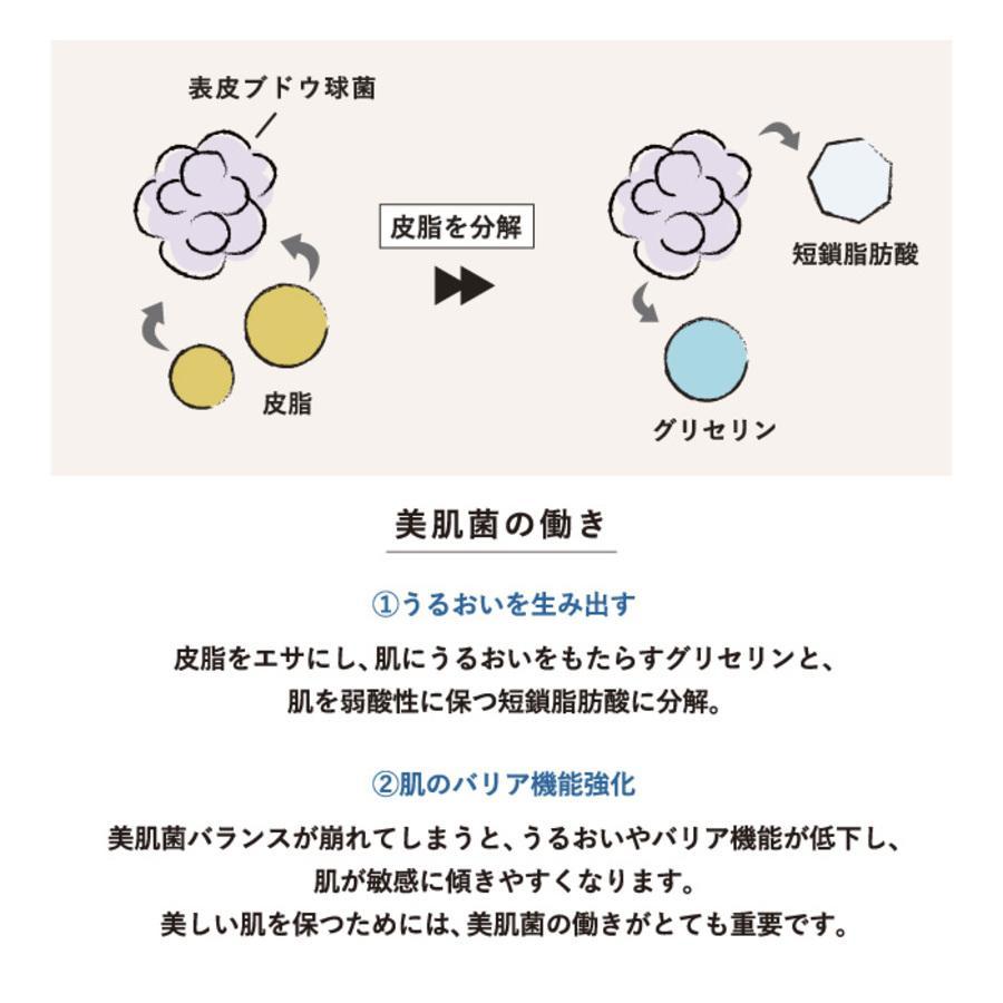 ＜OSAJI/オサジ＞エンリッチバイオセラム（導入美容液）・クリームセット