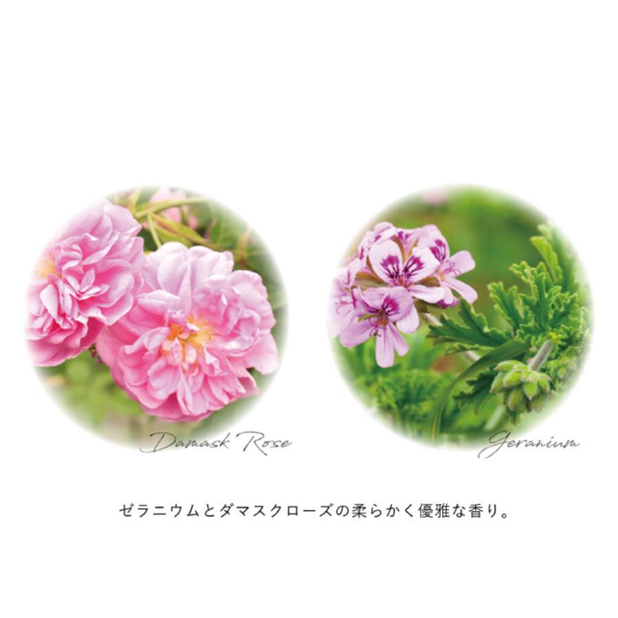 ＜OSAJI/オサジ＞エンリッチバイオセラム（導入美容液）・クリームセット