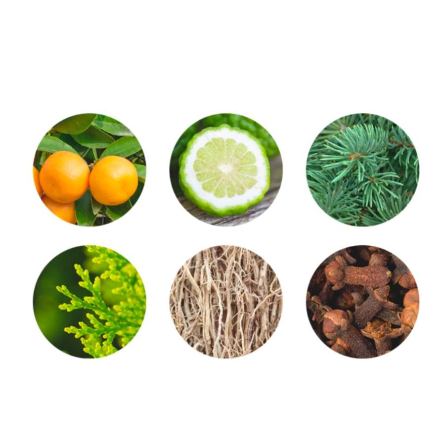 <OSAJI/オサジ>デューイ―スタイリングオイル(ヘアスタイリングオイル)100mL×2本セット