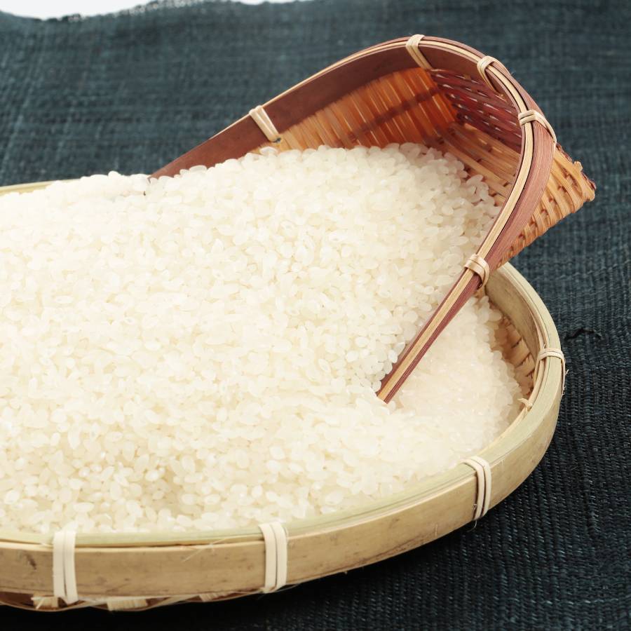 新米30k 新潟県産コシヒカリ従来米販売毎年食味値分析表90点以上A