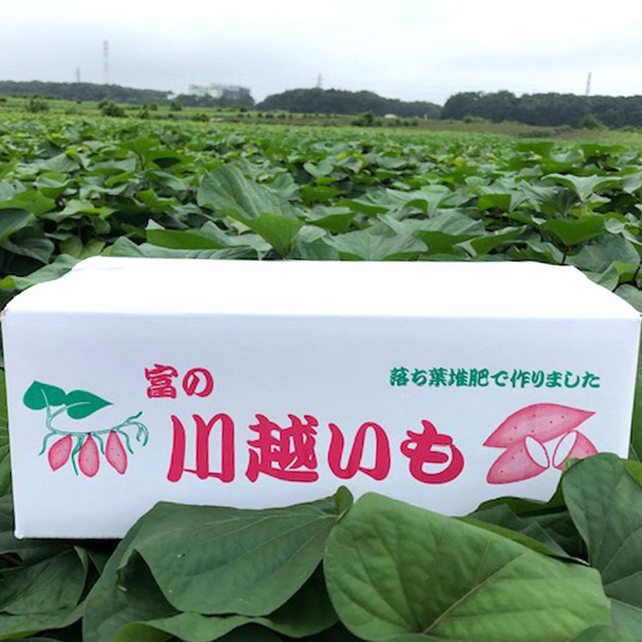 落ち葉堆肥農法 紅東 3kg