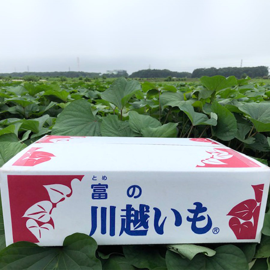 落ち葉堆肥農法熟成芋 食べくらべセット 5kg