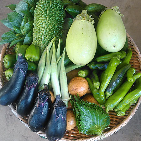 【秋】露地栽培のお野菜と乾麺うどん