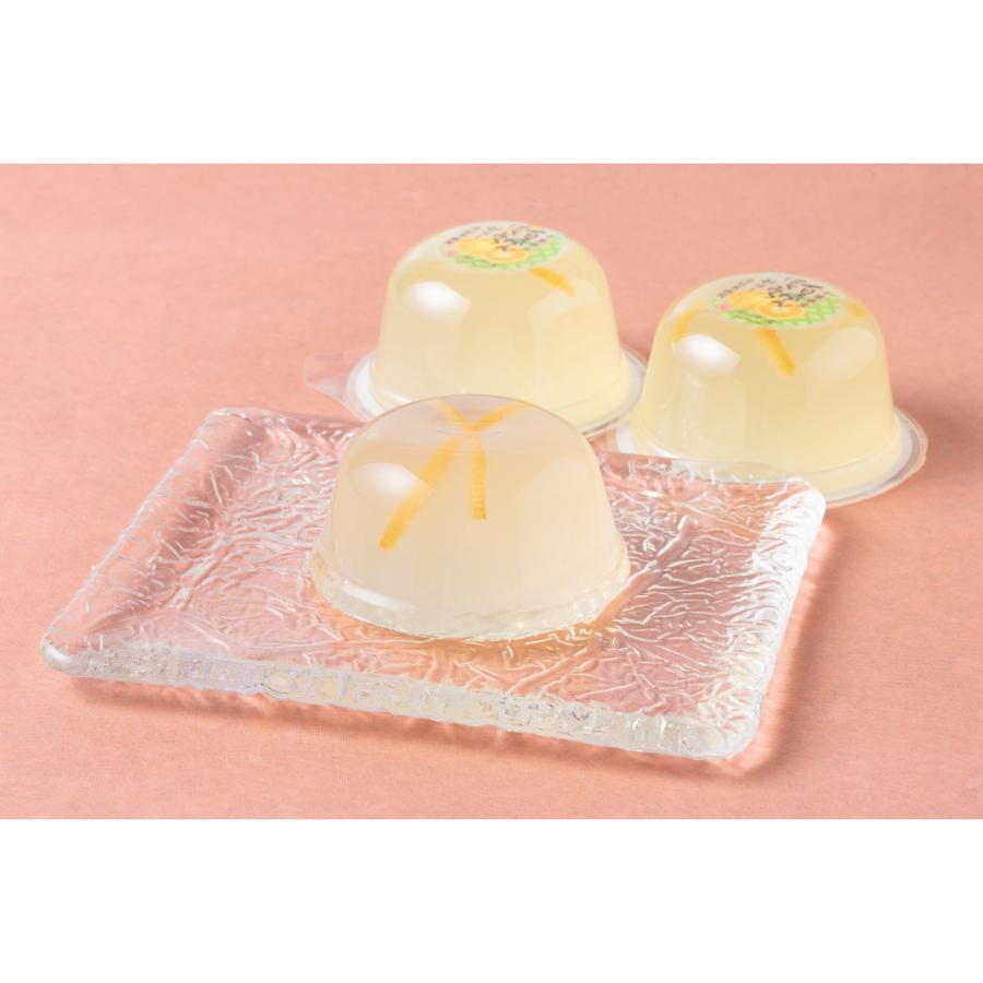 ＜房洋堂＞房総果樹園　15個入り