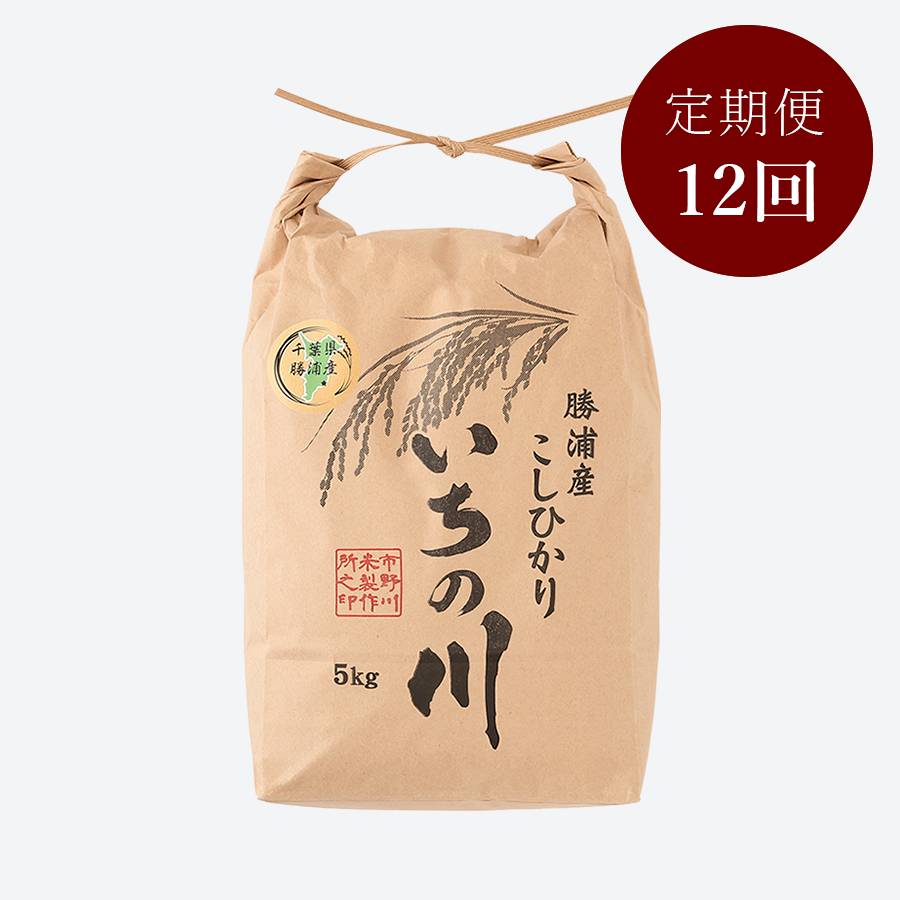 ＜いちの川＞千葉県勝浦産コシヒカリ５kg定期便　12カ月コース