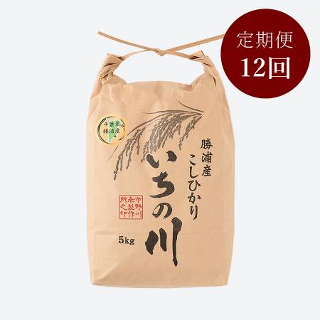 ＜いちの川＞千葉県勝浦産コシヒカリ５kg定期便　12カ月コース