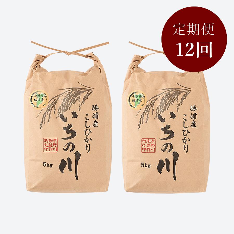 ＜いちの川＞千葉県勝浦産コシヒカリ１0kg定期便　12カ月コース