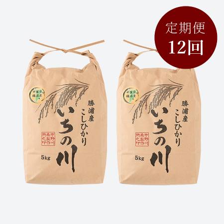 ＜いちの川＞千葉県勝浦産コシヒカリ１0kg定期便　12カ月コース
