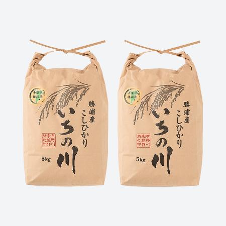 ＜いちの川＞千葉県勝浦産コシヒカリ１0kg