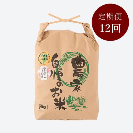 ＜いちの川＞千葉県が独自に育成した早生品種 粒が大きい ふさおとめ ５kg定期便　12カ月コース