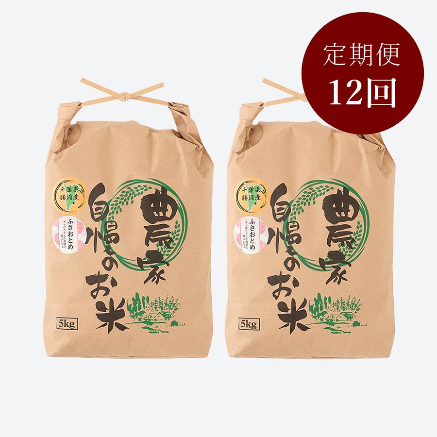 ＜いちの川＞千葉県が独自に育成した早生品種 粒が大きい ふさおとめ １０kg定期便　12カ月コース
