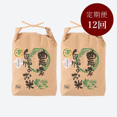 ＜いちの川＞千葉県が独自に育成した早生品種 粒が大きい ふさおとめ １０kg定期便　12カ月コース