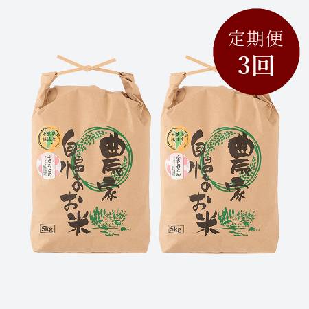 ＜いちの川＞千葉県が独自に育成した早生品種 粒が大きい ふさおとめ １０kg定期便　3カ月コース
