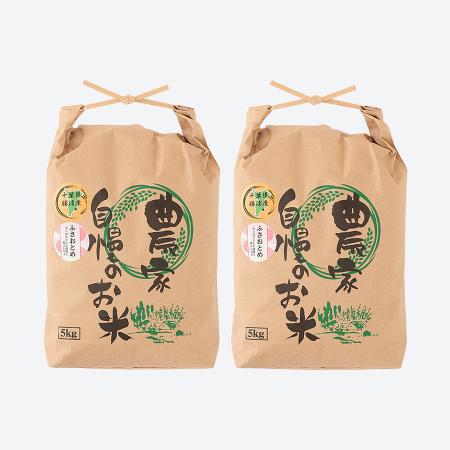 ＜いちの川＞千葉県が独自に育成した早生品種 粒が大きい ふさおとめ １０kg