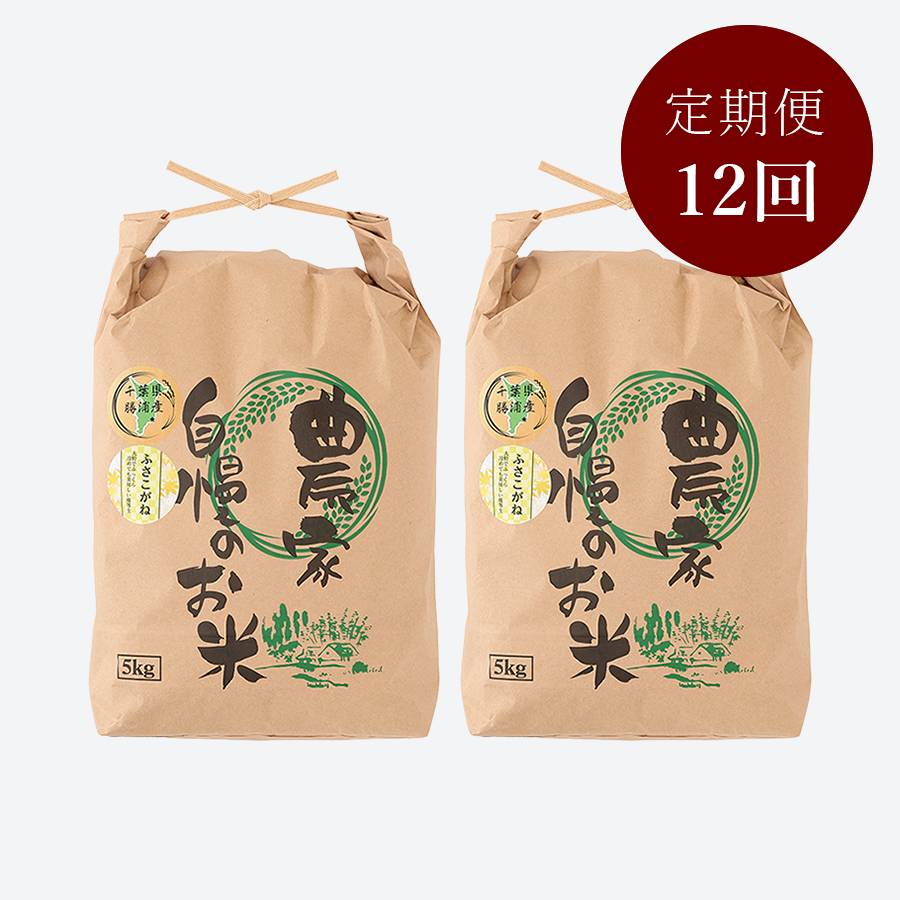 ＜いちの川＞千葉県が独自の独自品種 もっちりとした粘り ふさこがね １０kg定期便　12カ月コース