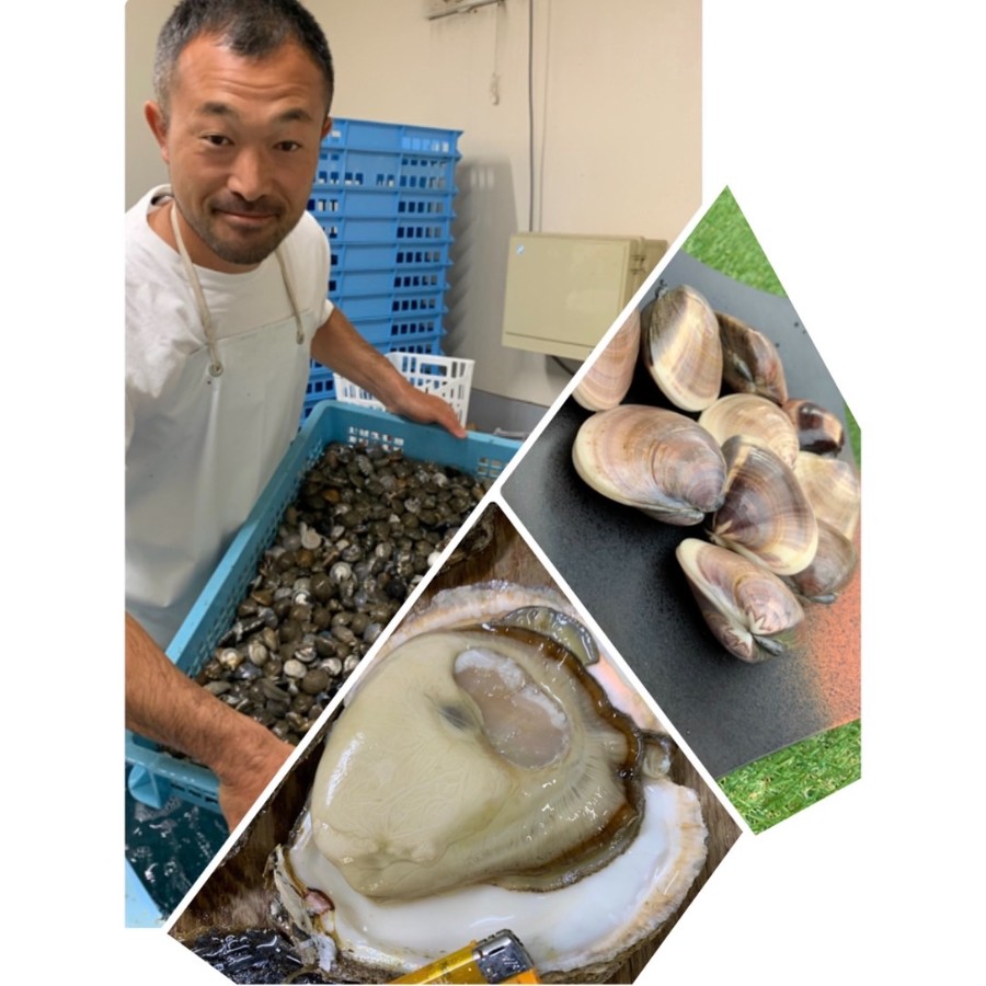 九十九里浜のゼンナとながらみ冷凍各3kg