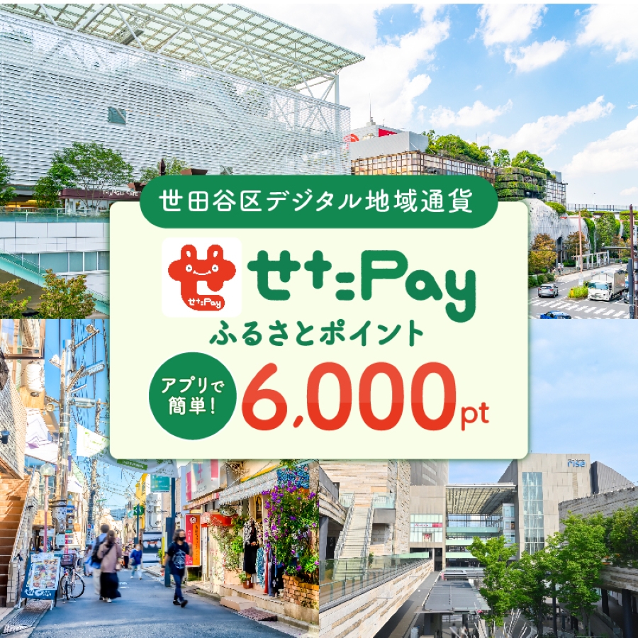 世田谷区 地域限定通貨「せたがやPay」 ふるさとポイント6000pt(1pt=1円)6000円分