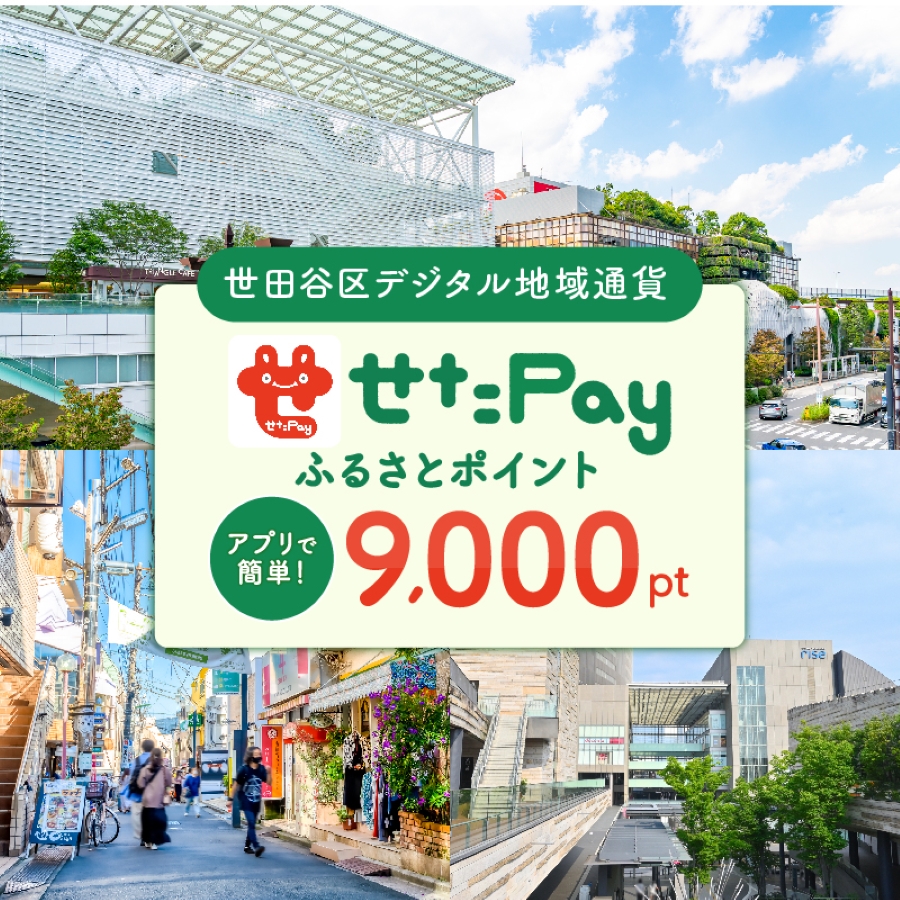 世田谷区 地域限定通貨「せたがやPay」 ふるさとポイント9000pt（1pt＝1円）9000円分