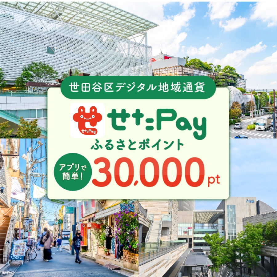 世田谷区 地域限定通貨「せたがやPay」 ふるさとポイント30000pt(1pt=1円)30000円分