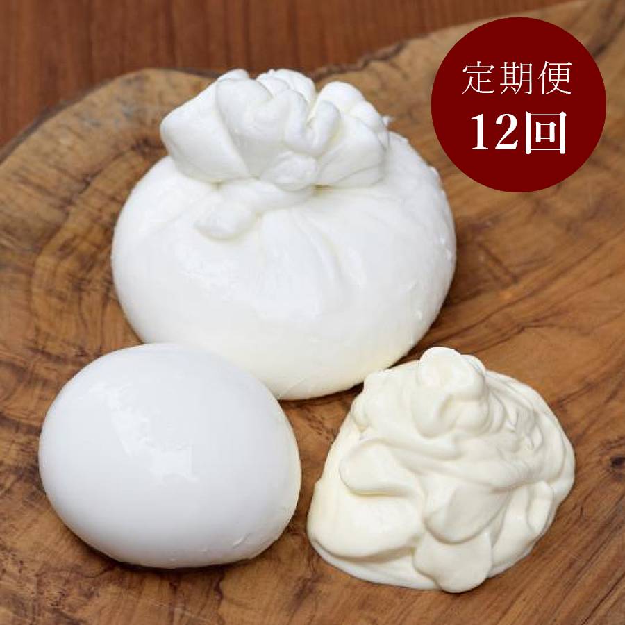<Latteria BeBe Kamakura>ジャパンチーズアワード受賞チーズセット定期便 12カ月コース