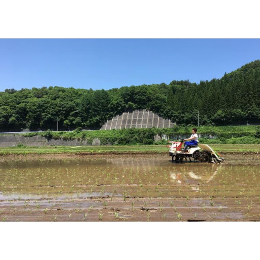 生麹甘酒＜komeama＞16種類の雑穀 250g×5パック