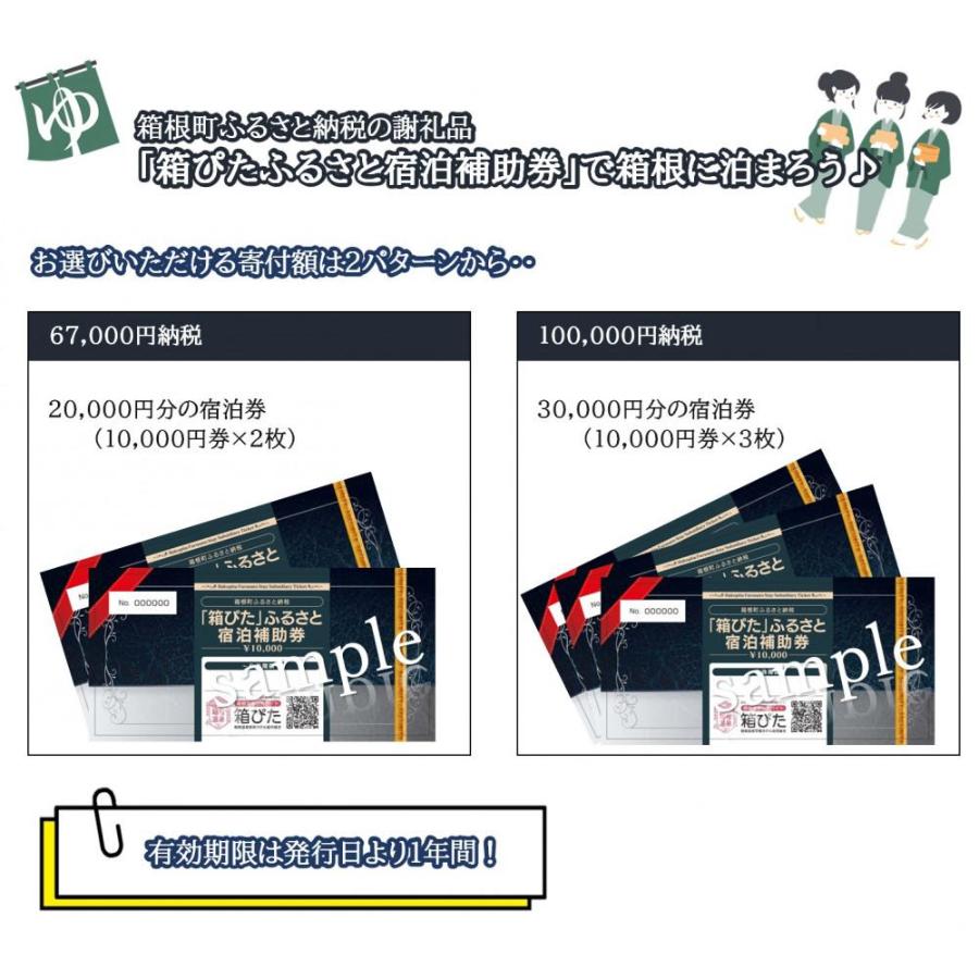 ＜箱ぴた＞ふるさと宿泊補助券（3万円分）