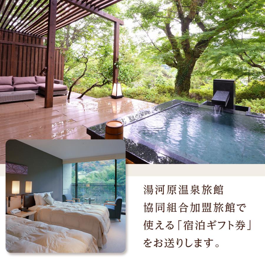 湯河原温泉ふるさと納税「宿泊ギフト券」3000円分