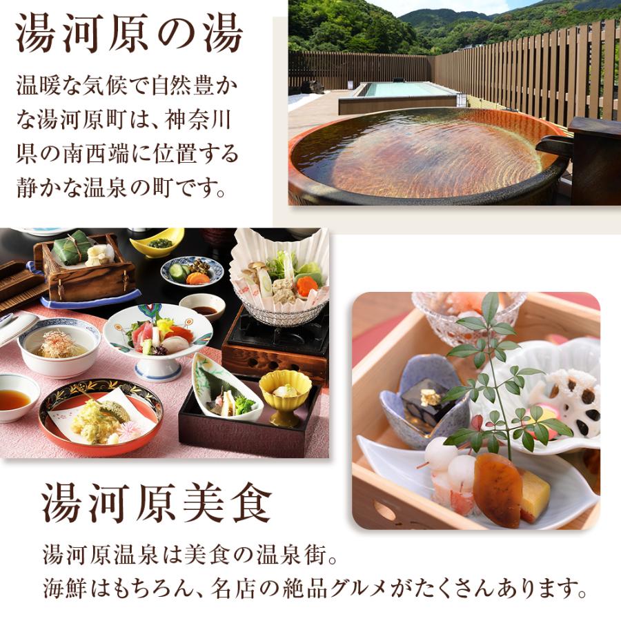 湯河原温泉ふるさと納税「宿泊ギフト券」9000円分