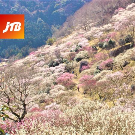 ＜JTB＞湯河原町　JTBふるさと旅行クーポン（Eメール発行）（150万円分）