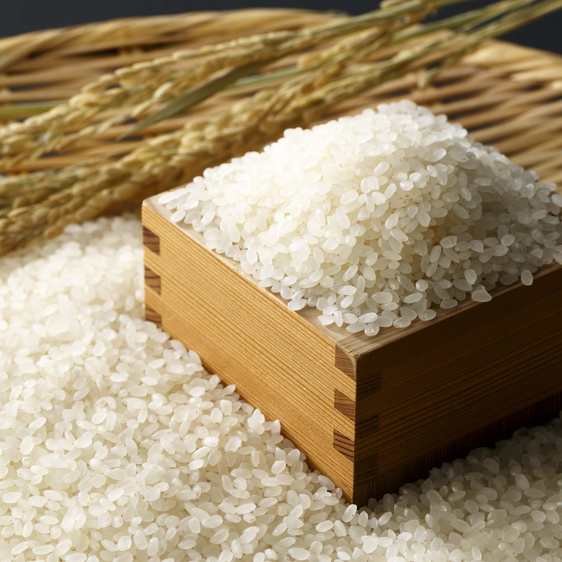 こだわり特別栽培米セットB 5kg×2袋 定期便6回