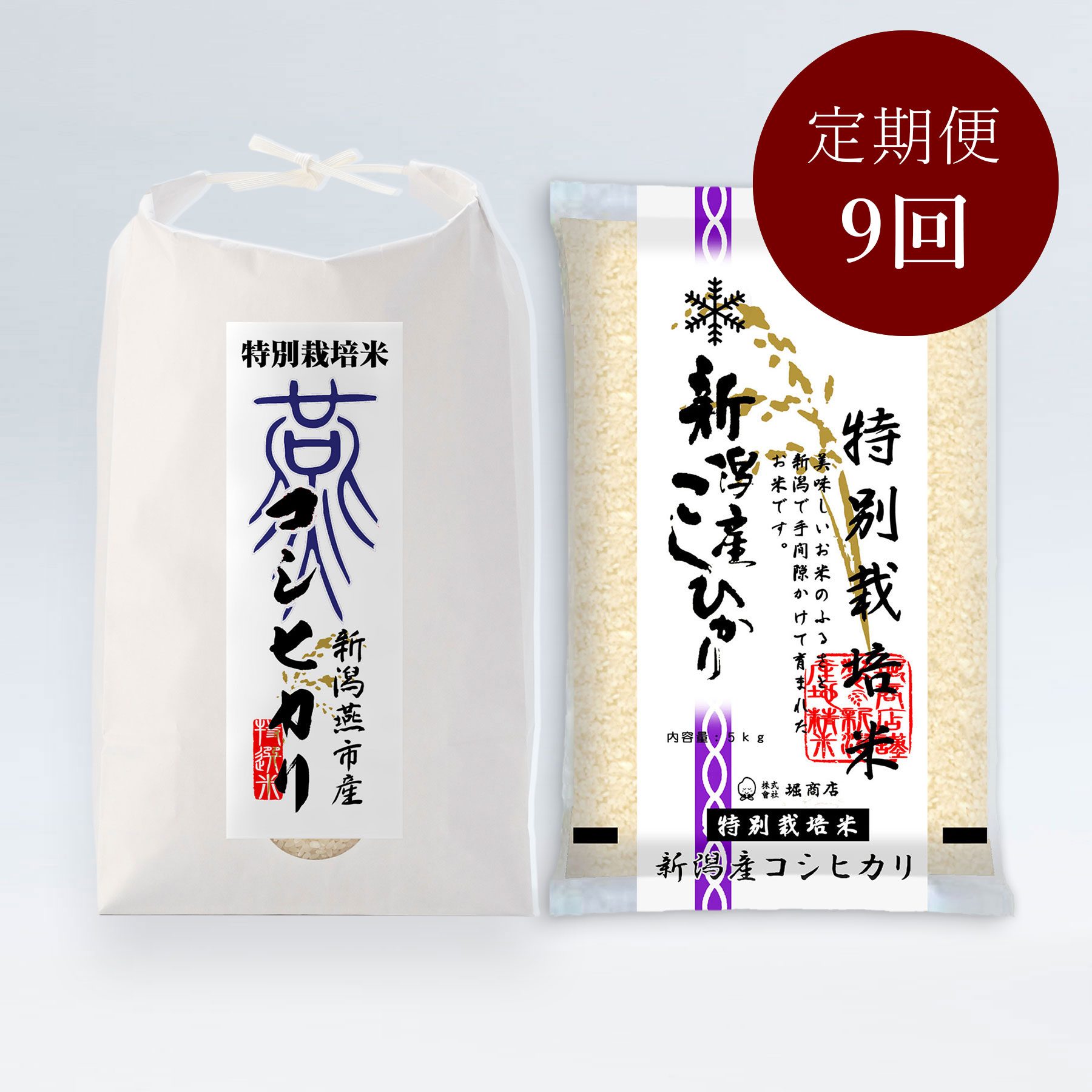 こだわり特別栽培米セットB 5kg×2袋 定期便9回