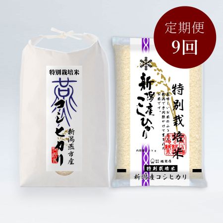 こだわり特別栽培米セットB 5kg×2袋 定期便9回