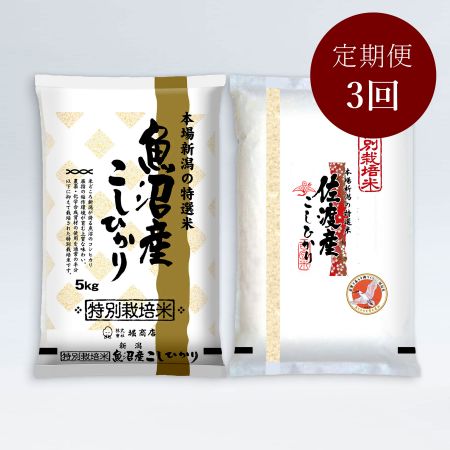 こだわり特別栽培米セットA 5kg×2袋 定期便3回