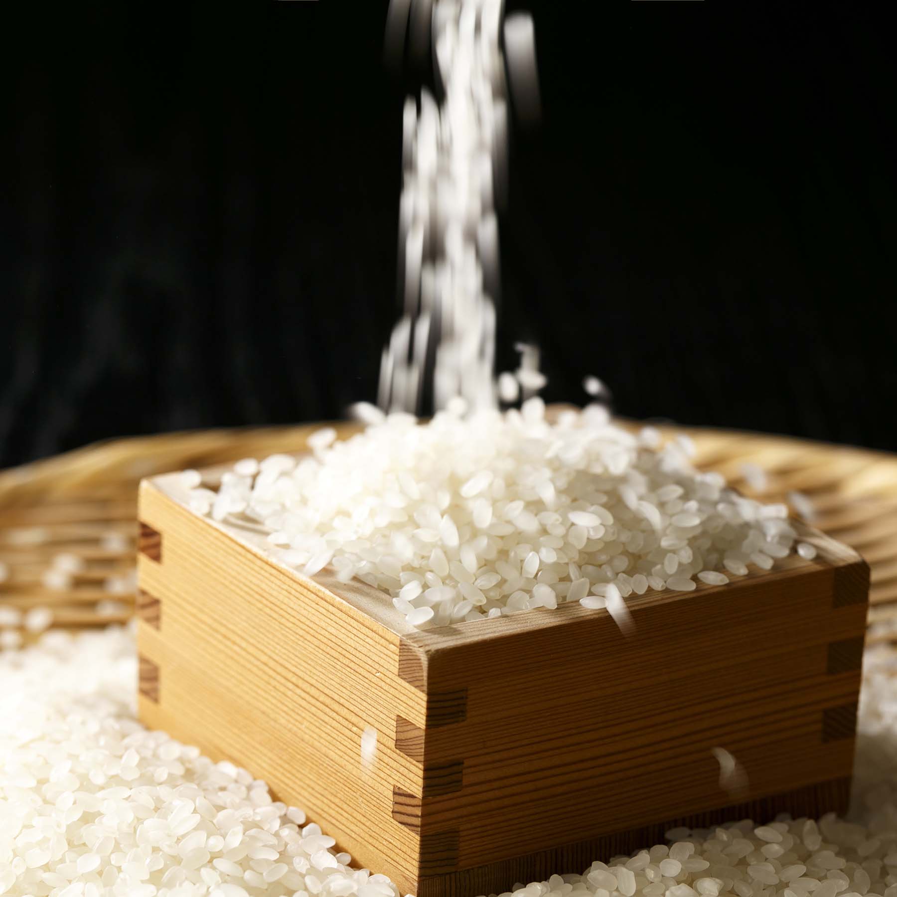 こだわり特別栽培米セットA 5kg×2袋 定期便6回