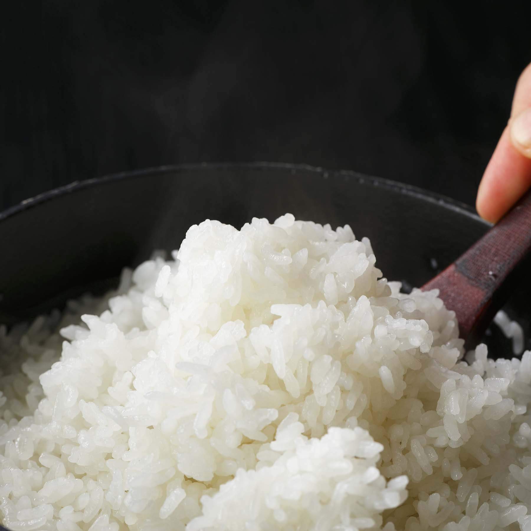 こだわり特別栽培米セットA 5kg×2袋 定期便9回