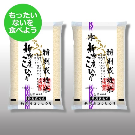 【もったいない！を食べよう】特別栽培米新潟産コシヒカリ10kg