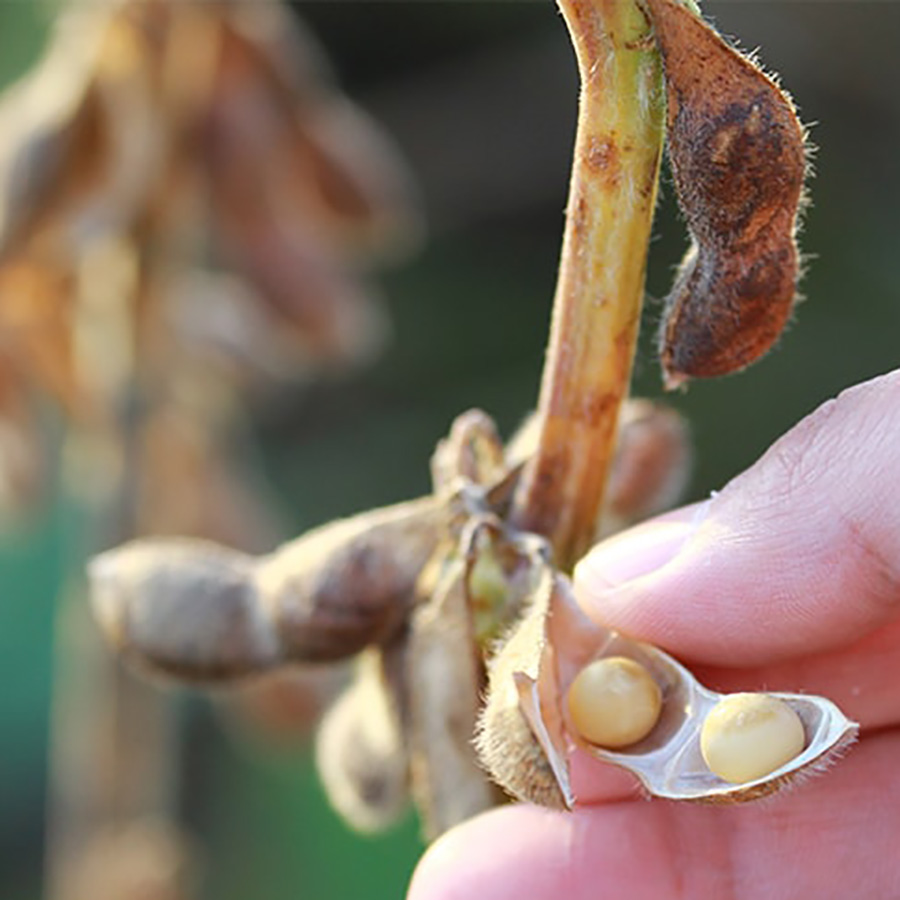 ＜山田醸造＞調味料贅沢セレクション（味噌、醤油）