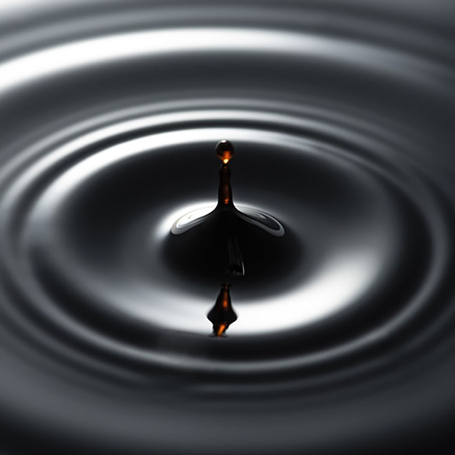 ＜山田醸造＞醤油セレクション「彩紫」 LW（華2本・つゆ2本・料理人2本）