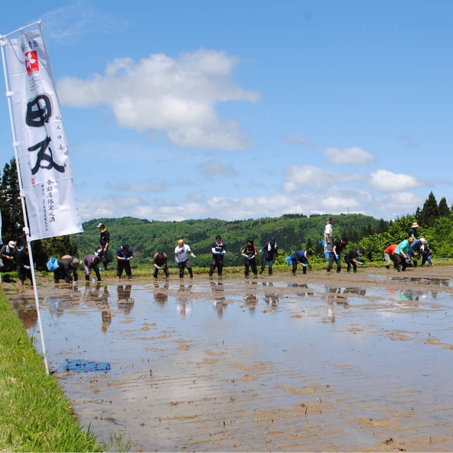 ＜高の井酒造＞伊乎乃大吟醸原酒　1.8L