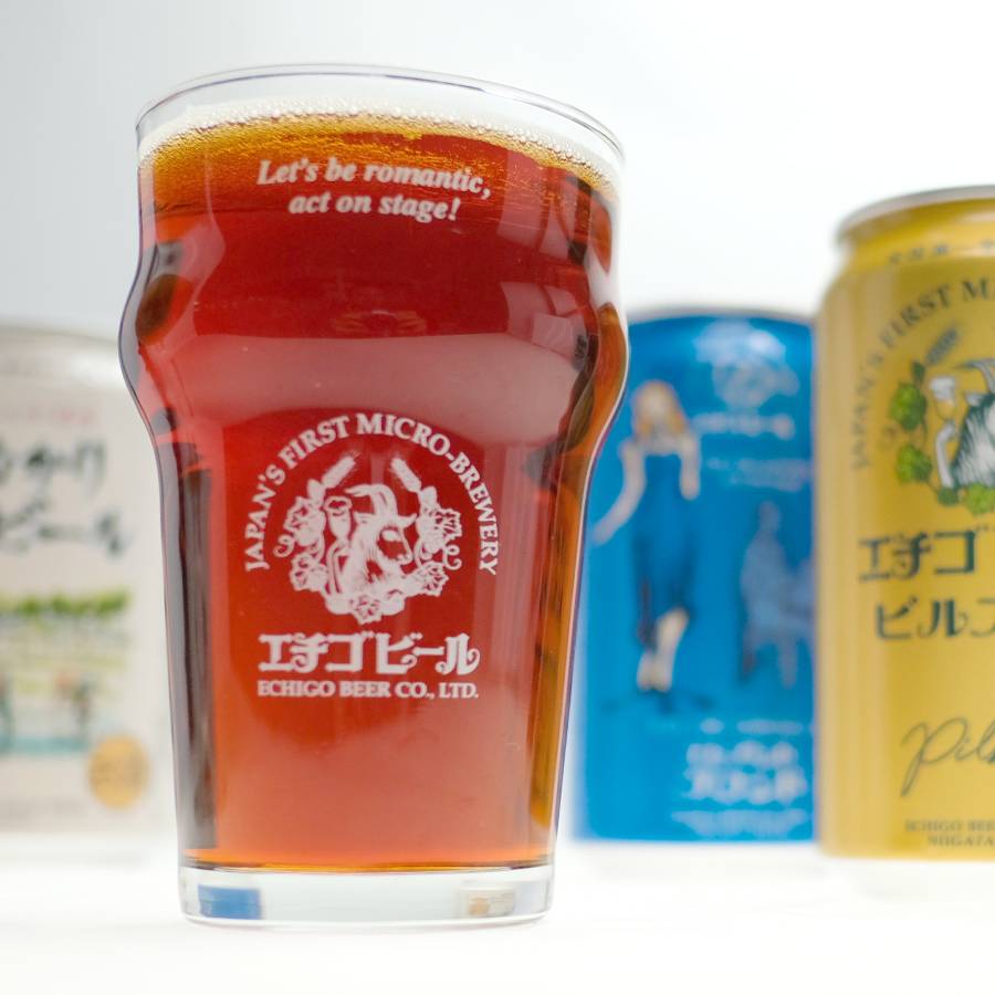 メーカー直売】 缶 新潟県 350ml クラフトビール 12本 エチゴビール エレガントブロンド ビール、発泡酒