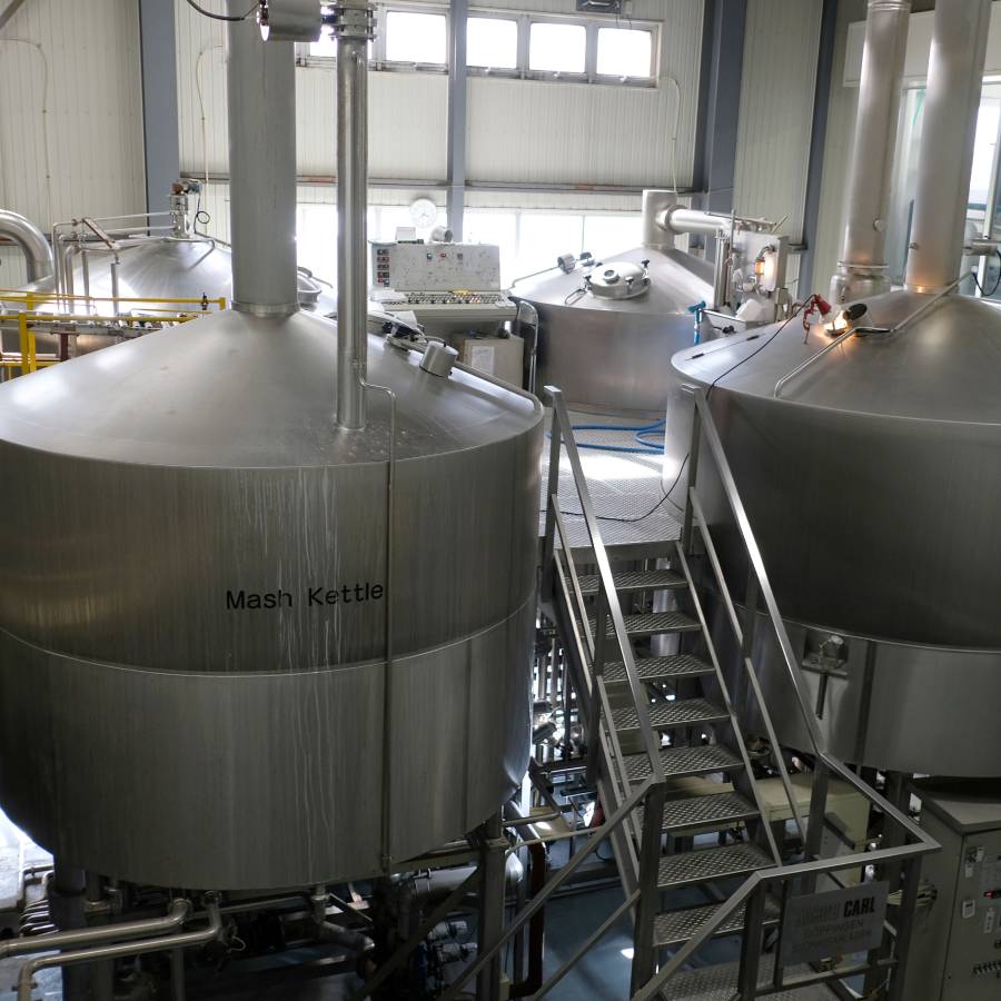【毎月届く定期便　12ヵ月コース】エチゴビール詰合せ12本入