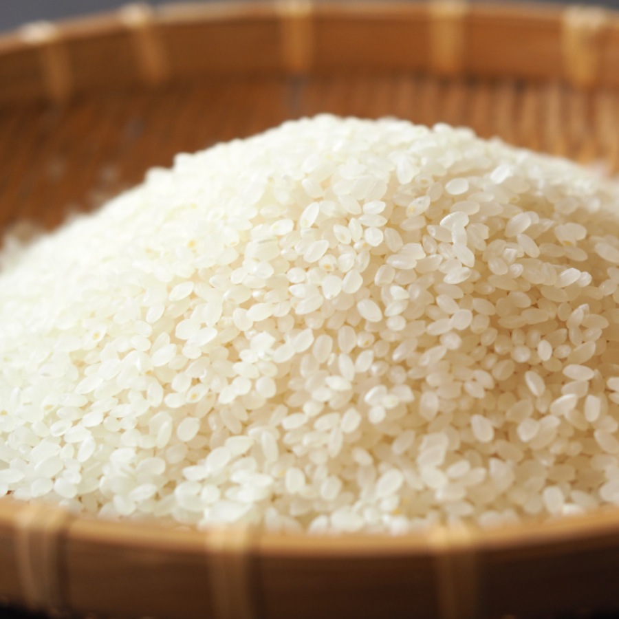 ＜JA＞特別栽培米8割減 南魚沼産こしひかり 5kg