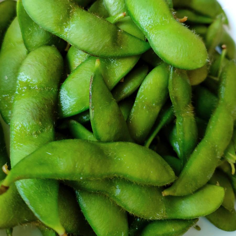 ＜産直にいがたグループ＞黒埼茶豆 2.0kg