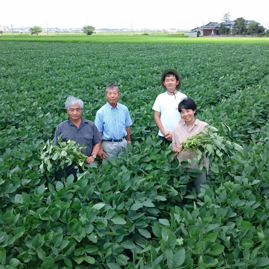 ＜産直にいがたグループ＞黒埼のえだまめ「おつな姫」230ｇ×6袋