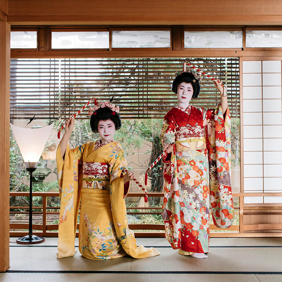 柳都の舞　特別栽培米新潟県産コシヒカリ10kg定期便　3回