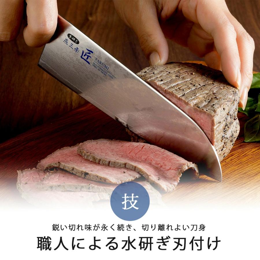 ＜燕三条　匠＞割込み万能包丁　霞