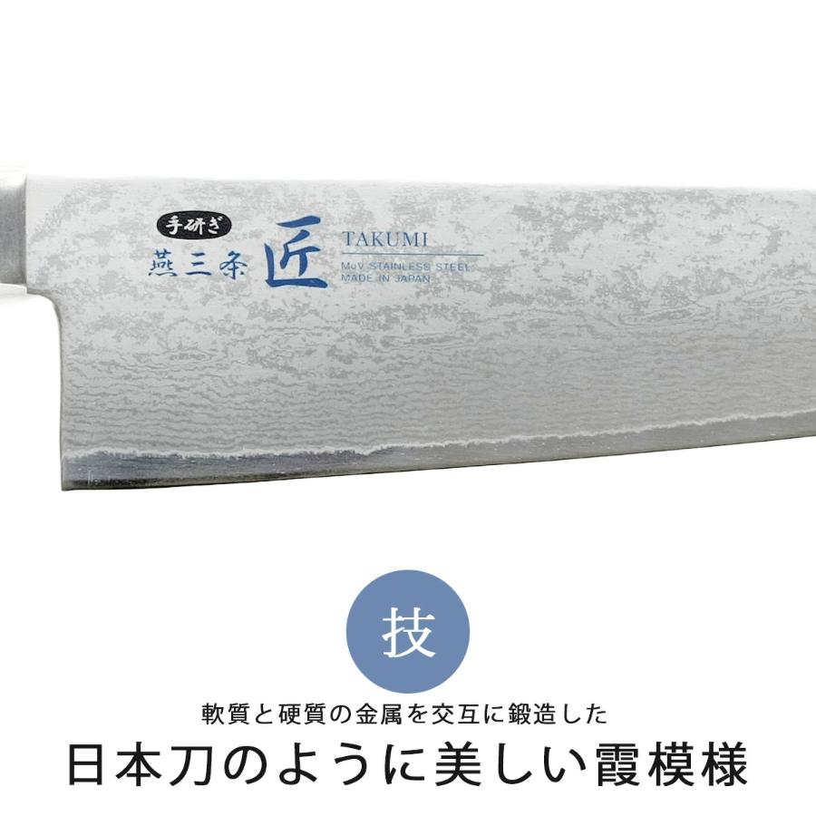 ＜燕三条　匠＞割込み万能包丁　霞